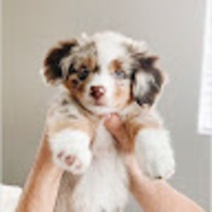 Meet your Posher, Taryn